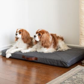 Lit hybride orthop&eacute;dique, P