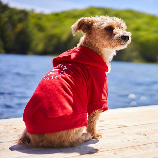 Sweatshirt l&eacute;ger &agrave; capuchon pour chiens Image NaN