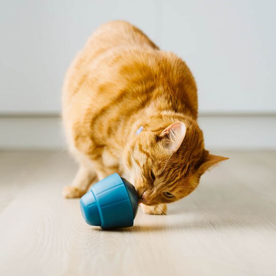 Jouet OBEE! Snak pour chats Image NaN