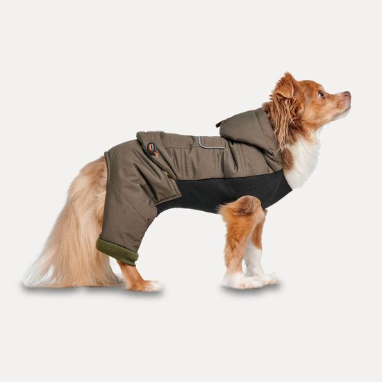 Hooded Full Body Snowsuit for Dogs Image NaN