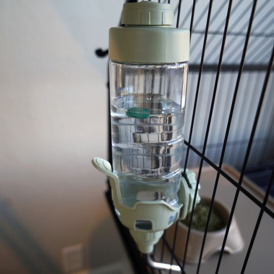 Dripless Water Bottle for Rodents Image NaN