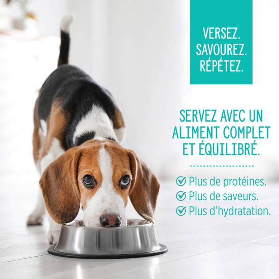 Garniture Style maison terre et mer pour chiens, 152 g Image NaN