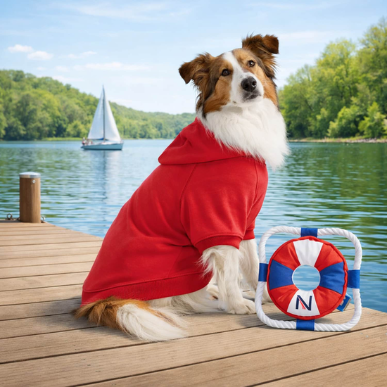 Sweatshirt l&eacute;ger &agrave; capuchon pour chiens Image NaN