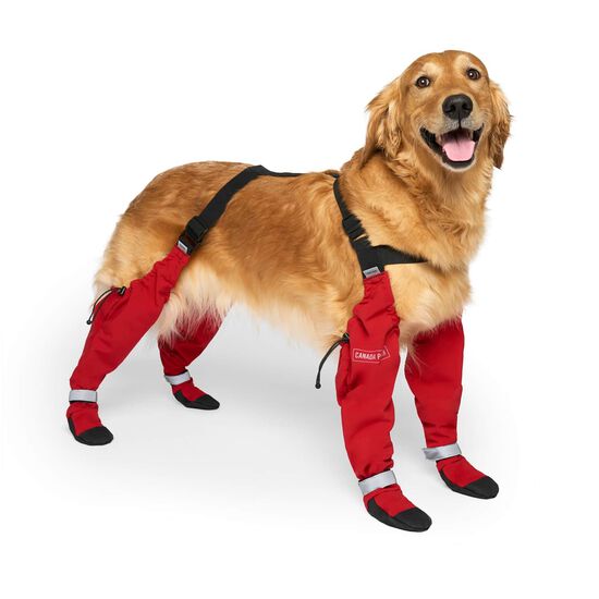 Bottes &agrave; bretelles pour chiens Image NaN