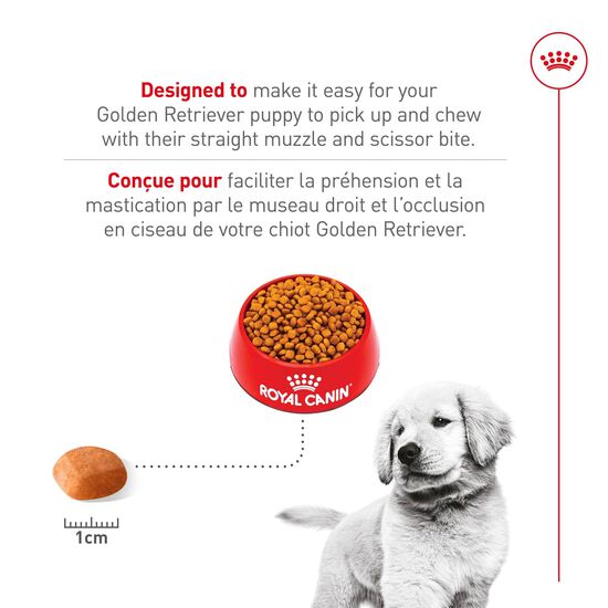 Nourriture s&egrave;che pour chiots de race Golden Retriever Image NaN