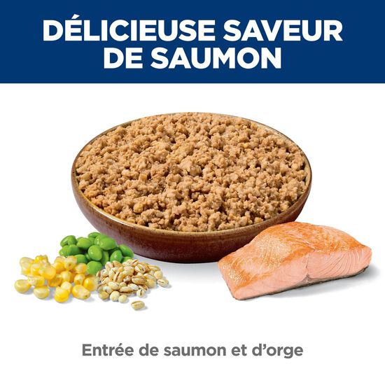 Entr&eacute;e de saumon et d&rsquo;orge pour chiens adultes Image NaN