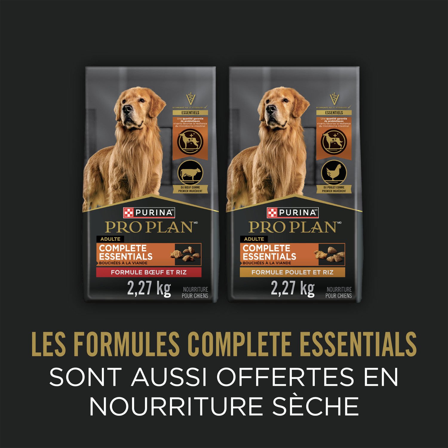 Adult Complete Essentials Grain-Free Variety Pack Wet Dog Food Pro