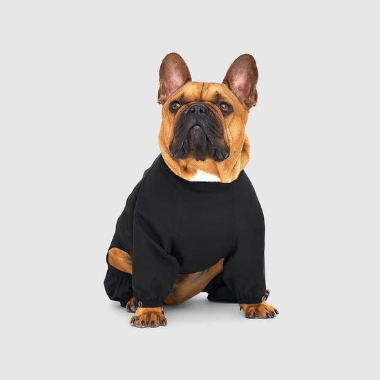 Waterproof Slush Suit for Dogs Image NaN