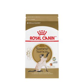 Food for Siamese adult cats