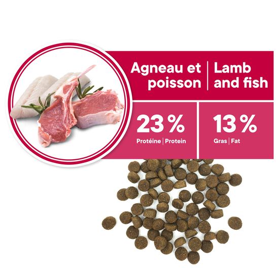 Skin and Coat Formula for Adult Dog Medium and Large Breeds, Lamb and Fish, 5kg Image NaN