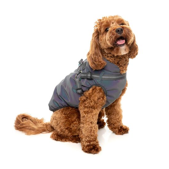 Veste flash r&eacute;fl&eacute;chissante pour chiens Image NaN