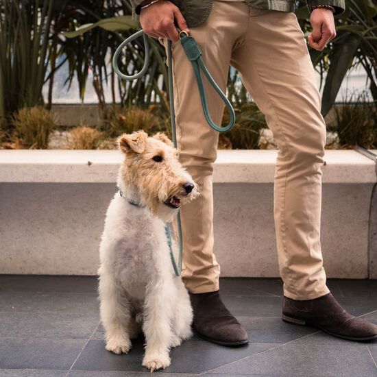 FuzzYard Life Atelier Dog Lead, Myrtle Green Image NaN