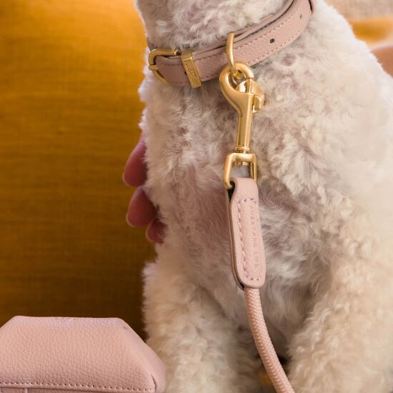 Laisse FuzzYard Life Atelier pour chiens, rose p&acirc;le Image NaN