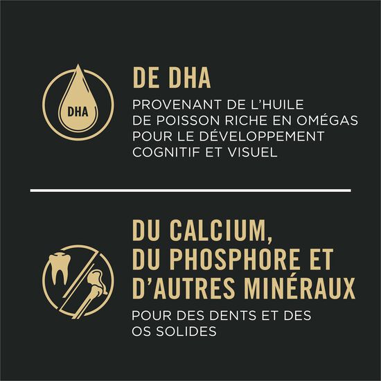 Nourriture sèche développement peaux et estomacs sensibles à l'agneau et riz pour chiots, 10,9 kg Image NaN