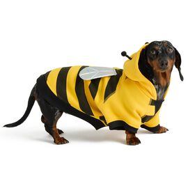 Moletton d'abeille avec capuchon et d&eacute;tails amusants pour chiens