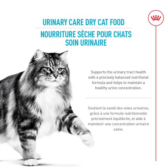 Nourriture sèche nutrition soin urinaire pour chats Image NaN