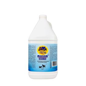 Summer Shampoo for Dogs, 3.8 L
