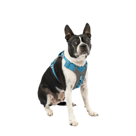 Journey Air Dog Harness Blue, S Image NaN
