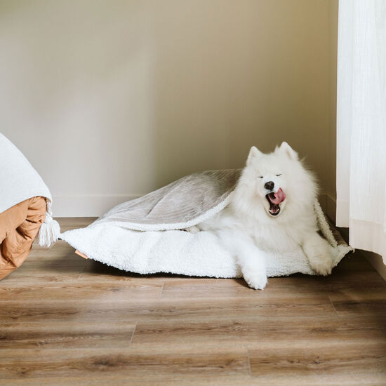 Coussin nuage caverne Image NaN