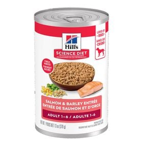 Entr&eacute;e de saumon et d&rsquo;orge pour chiens adultes