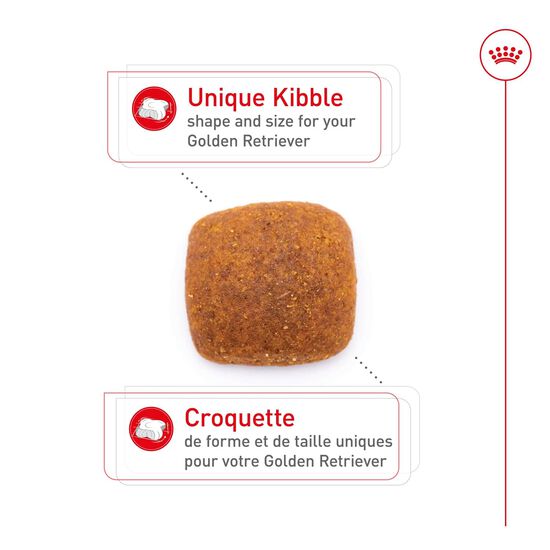 Nourriture s&egrave;che pour chiens adultes de race Golden Retriever Image NaN