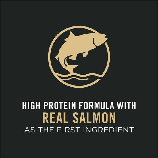 Nourriture sèche formule « Complete Essentials » au saumon et riz pour chats, 3,18 kg Image NaN
