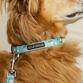 Adjustable Dog Collar