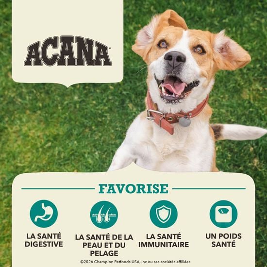 Coldwater Fish Receipe Dry Food for Dogs, 11.40 kg Image NaN