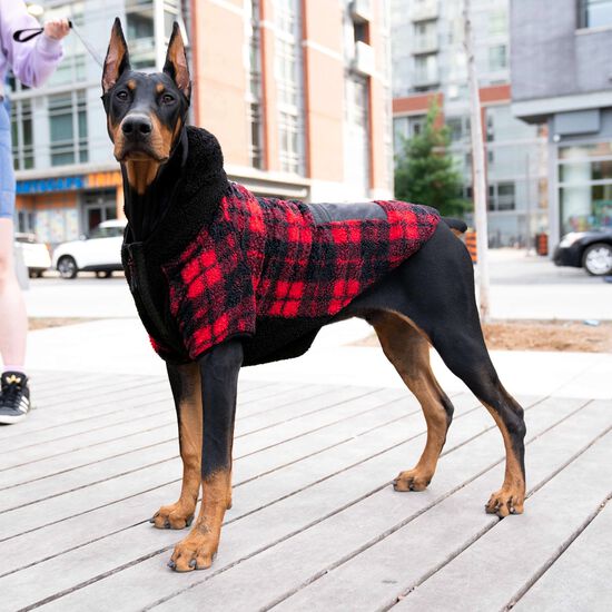 Manteau « Expedition » 2.0, 22 Image NaN