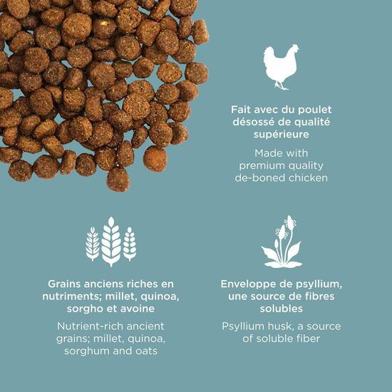 Nourriture sèche au poulet avec grains Digestion + Gut Health pour chats Image NaN