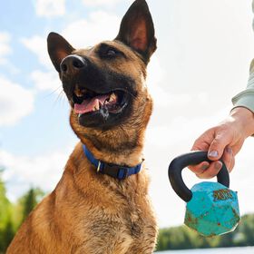 Distributeur de g&acirc;teries Kettle bell pour chiens