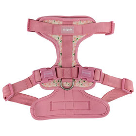 Harnais pour chiens, Champs de fleurs