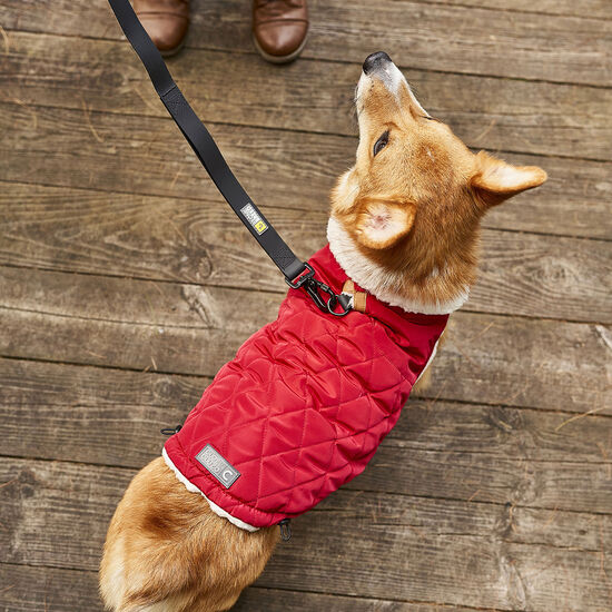 Reversible Winter Wrap Jacket for Dogs Image NaN