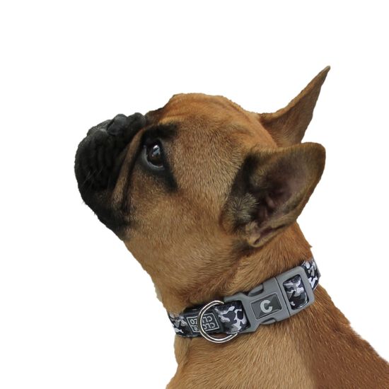 Adjustable dog collar, camo Image NaN