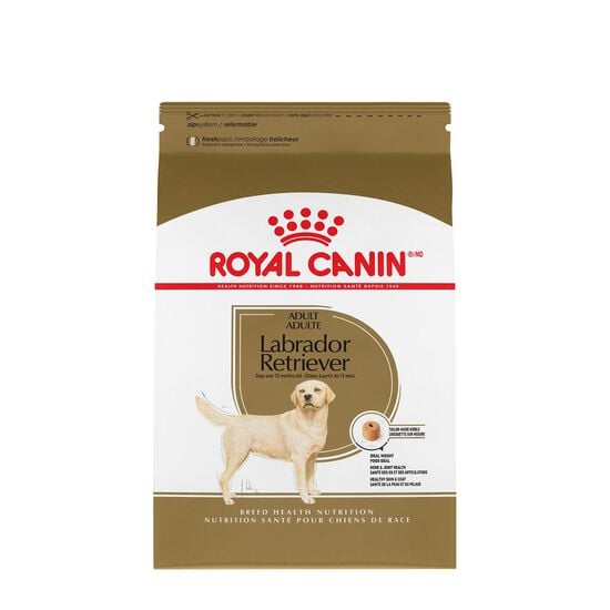 Nourriture sèche pour chiens Labrador Retriever adultes Image NaN