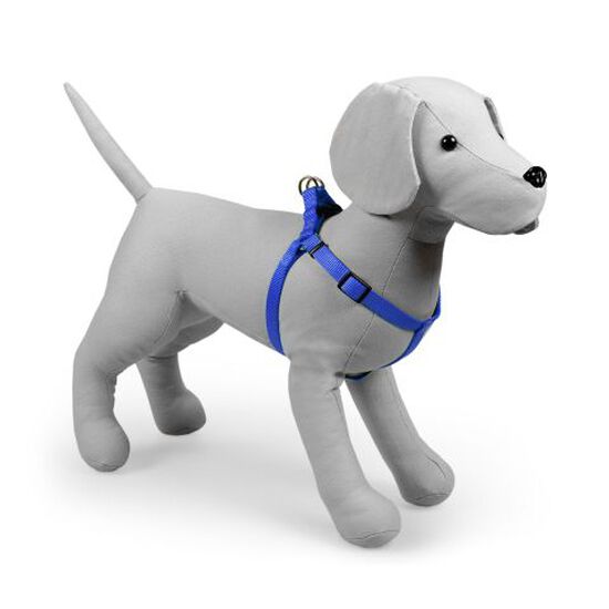 Harnais en nylon bleu Image NaN