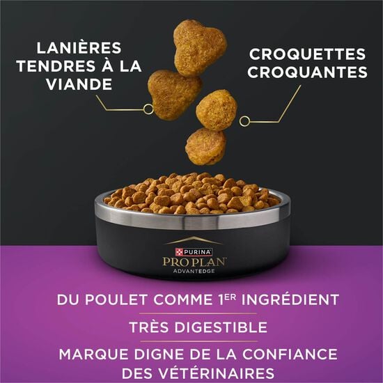 Nourriture s&egrave;che AdvantEDGE Soutien+ s&eacute;nior au poulet et riz pour chats, 2,27 kg Image NaN