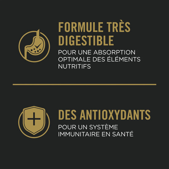 Complete Essentials Shredded Blend Chicken & Rice Formula for Adult Dogs, 21.3 kg Image NaN