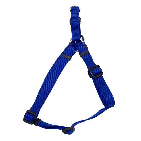 Blue nylon harness Image NaN