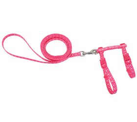 Ensemble harnais er laisse ajustables pour chast, Rose Dots