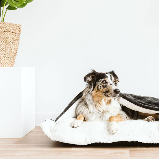 Housse pour coussin nuage caverne Image NaN