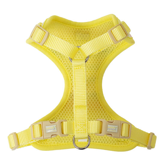 Harnais en maille pour petits chiens Image NaN