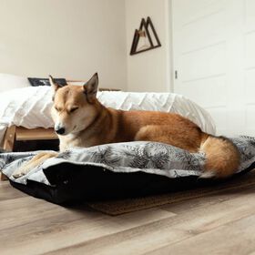 Cloud Pillow Cover, Pine Forest