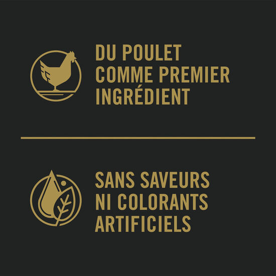 Complete Essentials Shredded Blend Chicken & Rice Formula for Adult Dogs, 21.3 kg Image NaN