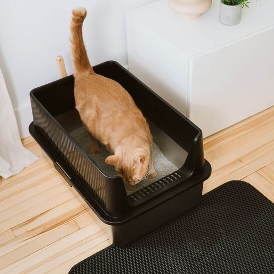 Large Stainless Steel Litter Box Image NaN