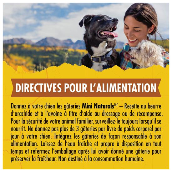 Mini Naturals Peanut Butter and Oats Tender Bites Treats for Dogs, 170 g Image NaN