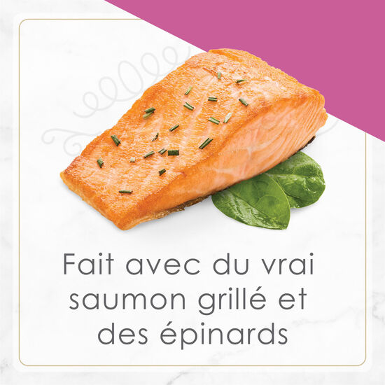 Petites wet food for cats, seared salmon and spinach Image NaN