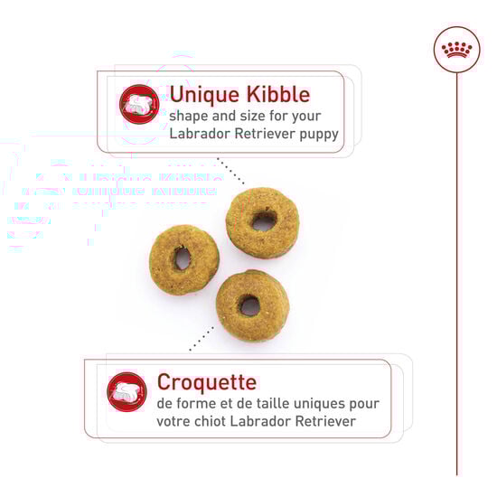 Breed Health Nutrition® Labrador Retriever Puppy Dry Food Image NaN