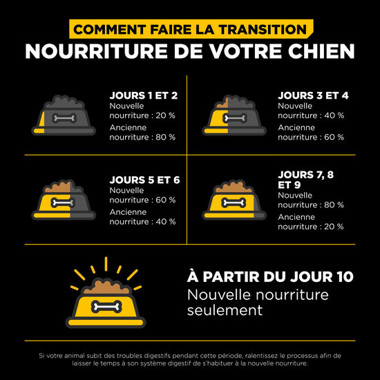 Recette « Skin + Coat Care » au canard avec grains pour chiens, 9,98 kg Image NaN