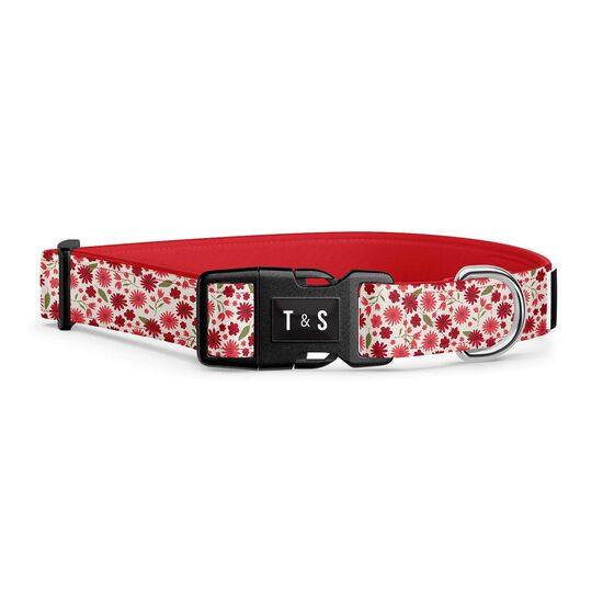 Collier r&eacute;glable pour chiens Image NaN